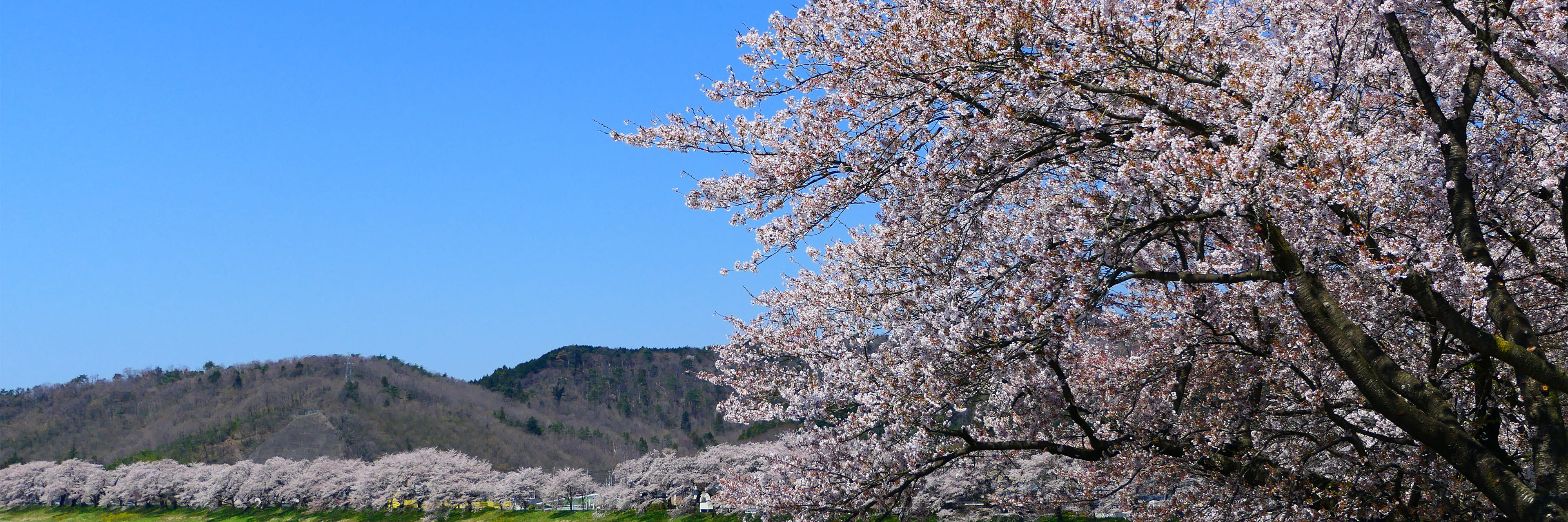 メインビジュアル