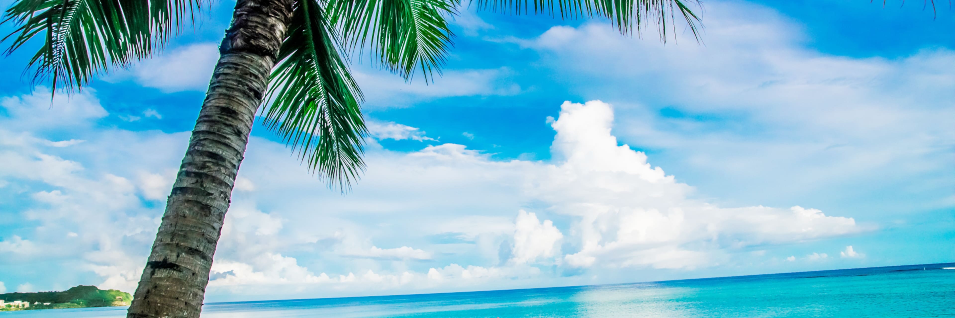 メインビジュアル