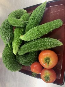 かざし園産ゴーヤ